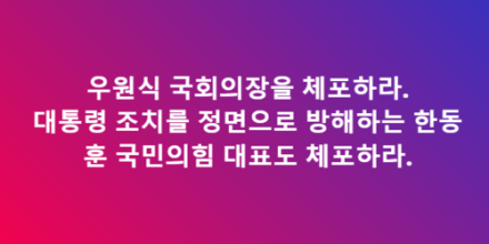 “한동훈·우원식 체포하라” 황교안, 尹 비상계엄 지지