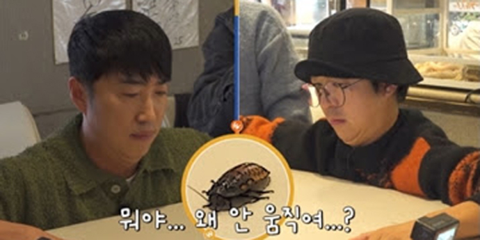 ‘독박투어3’ 최다 독박자, 바퀴벌레 먹방 감행
